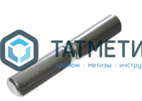 Петля гаражная 20 х120 мм, каплевидная, с подшипником, б/п -  магазин крепежа «ТАТМЕТИЗ»