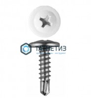 Саморез п/ш сверло 4,2x19  RAL 9003 -  магазин крепежа «ТАТМЕТИЗ»
